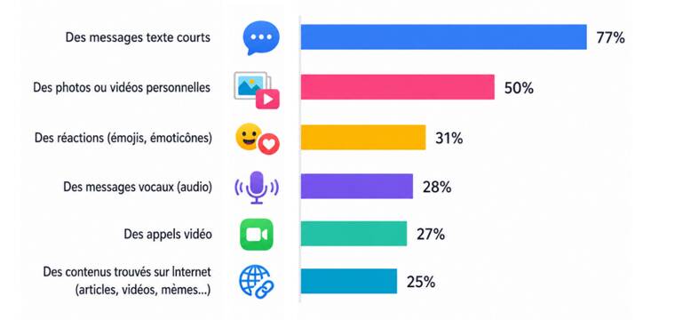 Les Français et les réseaux sociaux Les Français et les réseaux sociaux