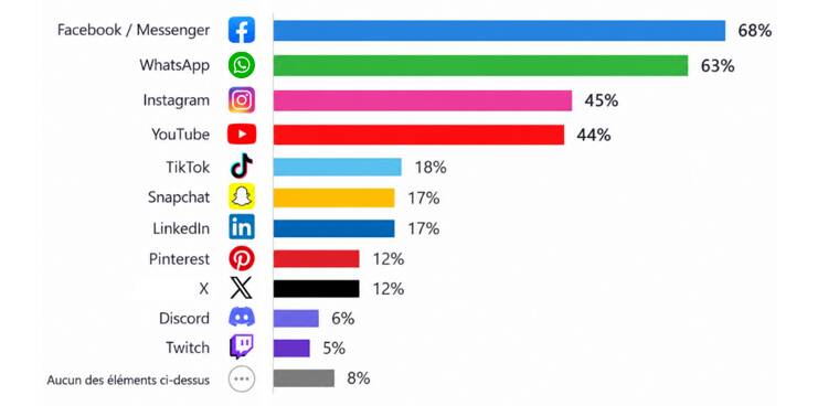 Les Français et les réseaux sociaux Les Français et les réseaux sociaux