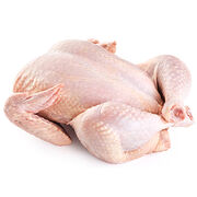 Listeria Rappel de nombreux poulets contaminés