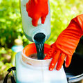 Les sénateurs raffolent des pesticides