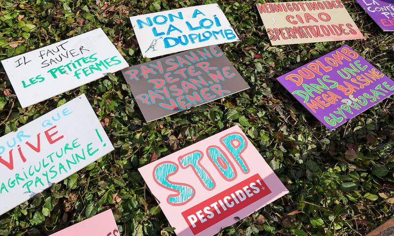 Loi Duplomb Un débat, quelques attentes et beaucoup de déception