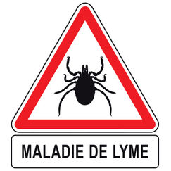 Maladie de Lyme Des recommandations, enfin