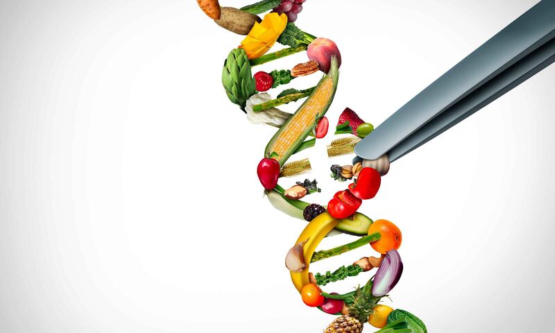 Nouveaux OGM Étiquetés, mais pas évalués