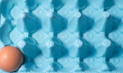 Œufs (vidéo) Les raisons d’une pénurie