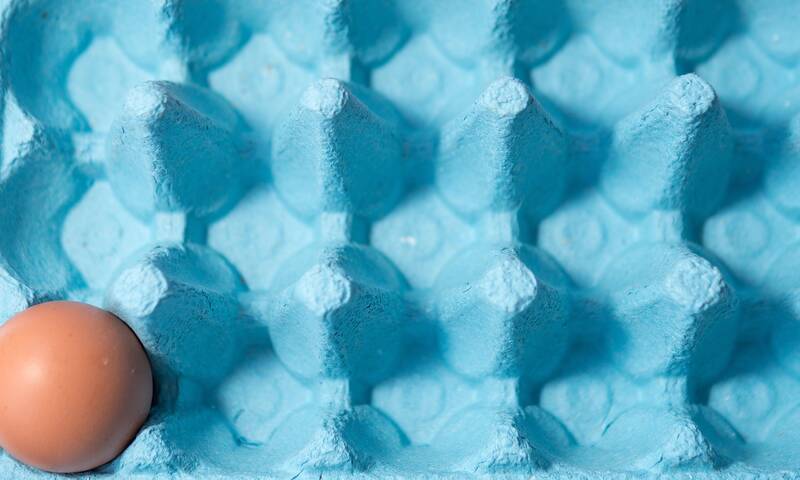 Œufs (vidéo) Les raisons d’une pénurie