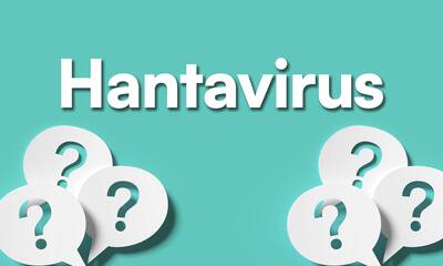 Origines, contamination, maladies, mortalité Que sait-on des hantavirus, ces virus transmis par les rongeurs ?
