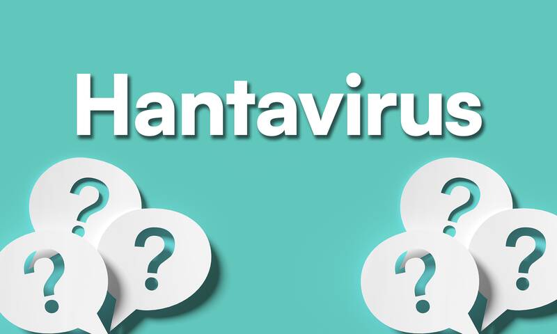 Origines, contamination, maladies, mortalité Que sait-on des hantavirus, ces virus transmis par les rongeurs ?