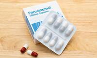 Paracétamol Est-il un perturbateur endocrinien ?