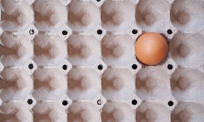 Pénurie d’œufs La production peine à répondre à l’appétit des Français