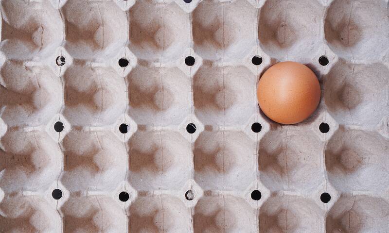 Pénurie d’œufs La production peine à répondre à l’appétit des Français