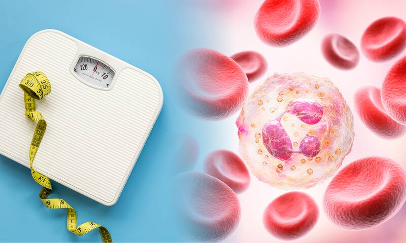 Perte de poids Comment le système immunitaire nous empêche de brûler les graisses