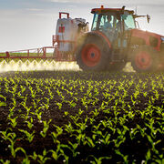 Pesticides à risque (vidéo) Bien trop présents dans notre alimentation