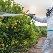 Pesticides agricoles Une baisse plus que relative