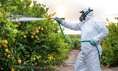 Pesticides agricoles - Une baisse plus que relative