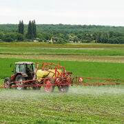 Pesticides dangereux Des interdictions encore repoussées