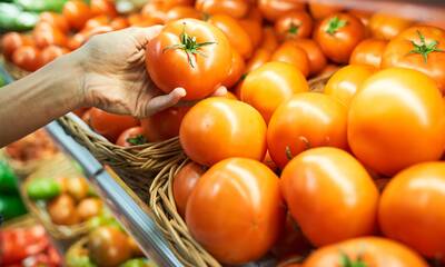 Pesticides De nombreux résidus dans les tomates espagnoles et marocaines