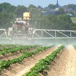 Pesticides Des riverains exposés à plus de 100 mètres des cultures