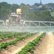 Pesticides Des riverains exposés à plus de 100 mètres des cultures