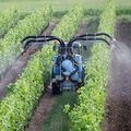 Pesticides et santé •
La liste des maladies qu’ils provoquent s’allonge