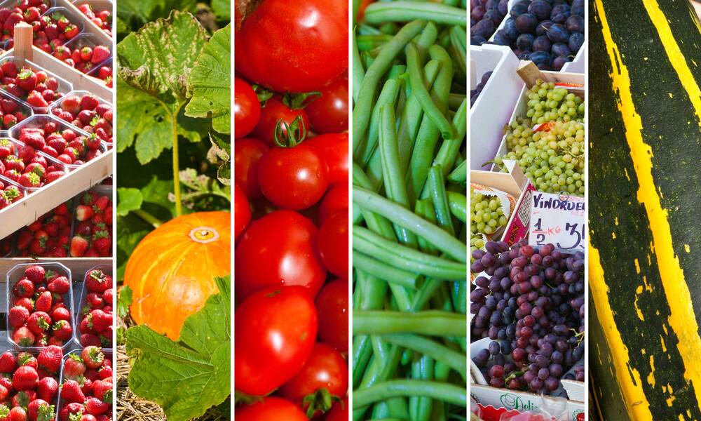 Pesticides interdits dans l’Union européenne – Les aliments importés dans le viseur du gouvernement – Actualité – UFC-Que Choisir