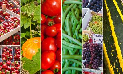 Pesticides interdits dans l’Union européenne Les aliments importés dans le viseur du gouvernement