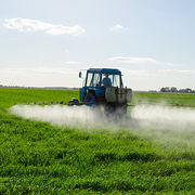 Pesticides L’Europe au secours des abeilles ?