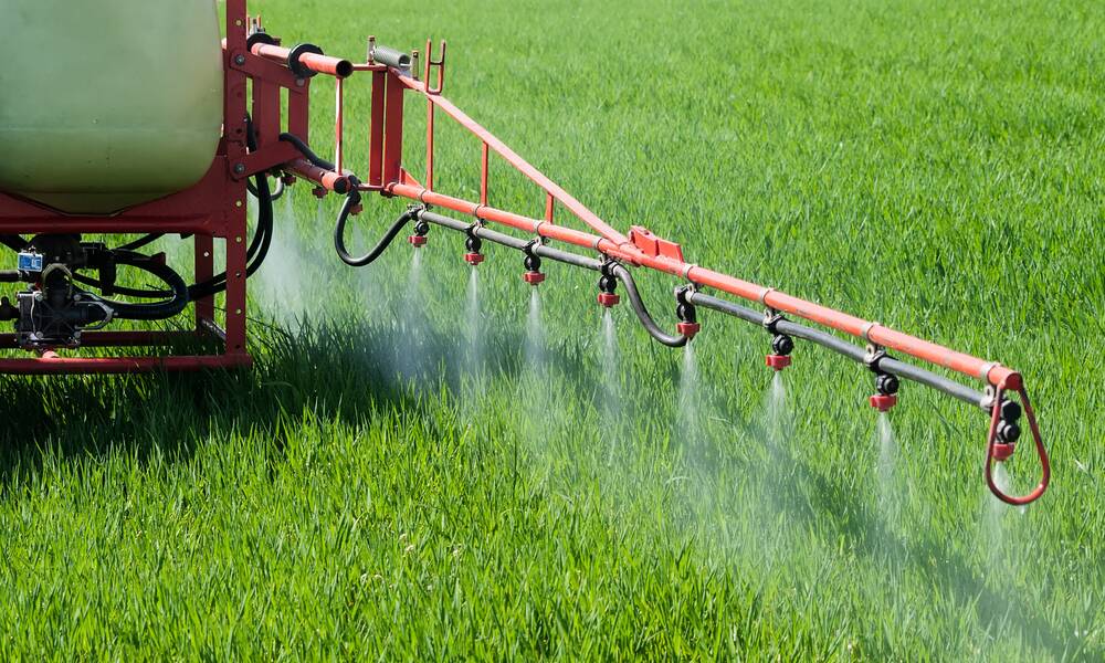 Pesticides – L’Union européenne interdit le flufénacet – Actualité – UFC-Que Choisir