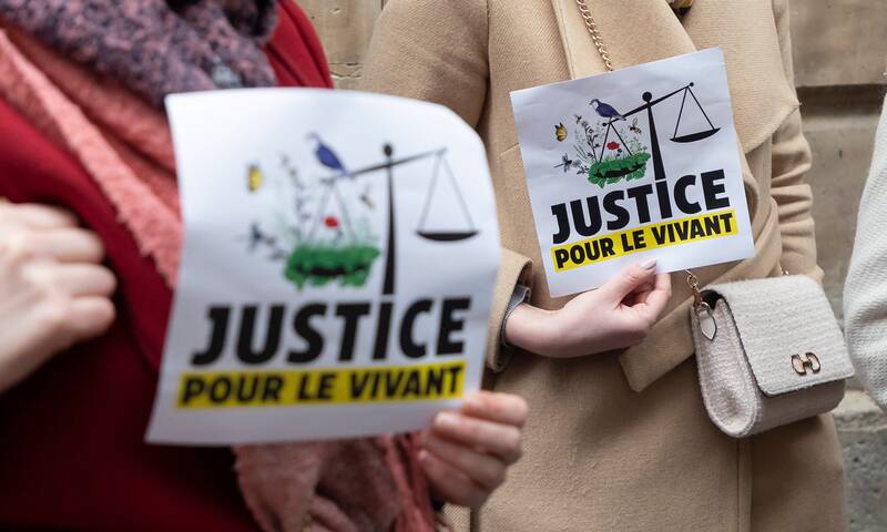 Pesticides La justice ordonne à l’État de renforcer ses évaluations Pesticides La justice ordonne à l’État de renforcer ses évaluations