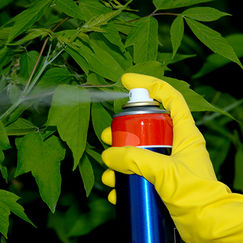 Pesticides Les biocides bientôt sous clé ?