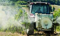 Pesticides Les riverains des zones viticoles plus exposés