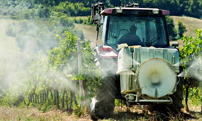 Pesticides Les riverains des zones viticoles plus exposés