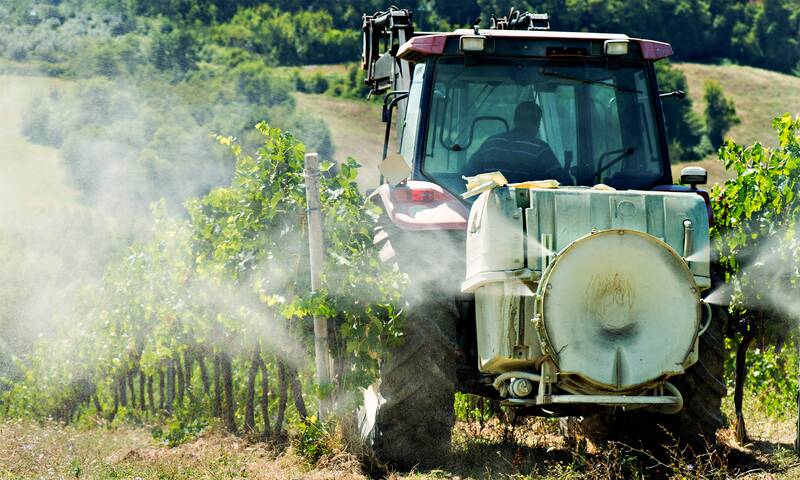 Pesticides Les riverains des zones viticoles plus exposés