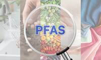 Polluants éternels Au tour de l’Anses de préconiser une meilleure surveillance des PFAS