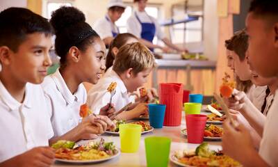 Pollution au mercure Huit villes bannissent le thon des cantines scolaires