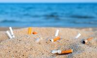 Pollution Pourquoi il faut interdire les filtres à cigarettes