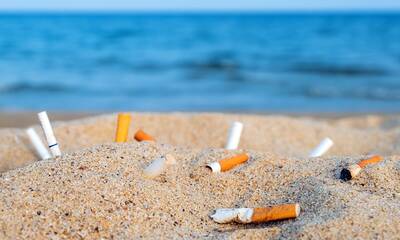 Pollution Pourquoi il faut interdire les filtres à cigarettes