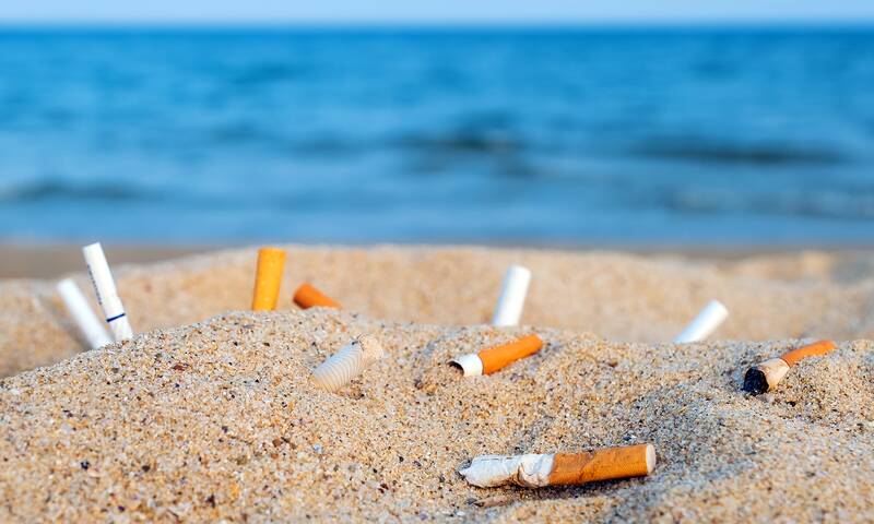 Pollution Pourquoi il faut interdire les filtres à cigarettes