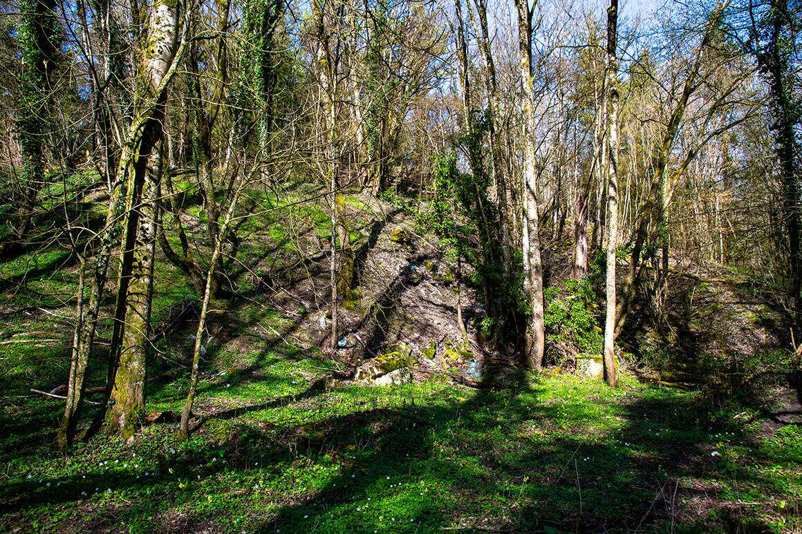 Procès  Les décharges illégales de Vittel, l’autre casserole de Nestlé Waters