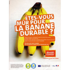 Publicité La banane durable s’affiche