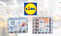 Rappel Lidl : des œufs contaminés par la salmonelle