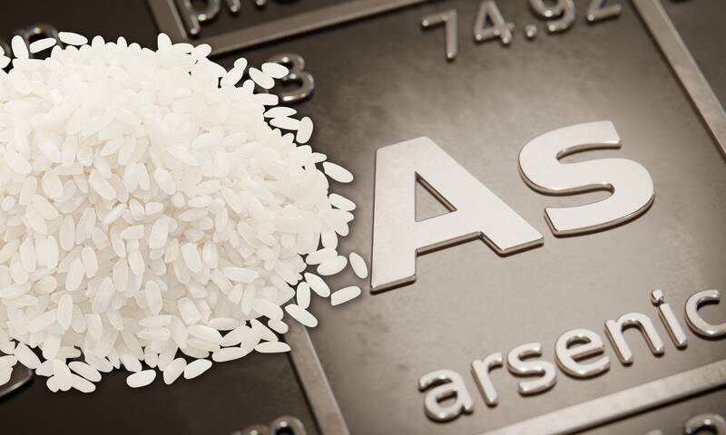 Riz Une contamination à l’arsenic à prendre en compte