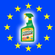 Roundup Le glyphosate en suspens