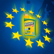 Roundup Le glyphosate sauvé par Bruxelles