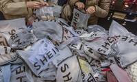 Shein Une amende de plus pour la plateforme de fast-fashion