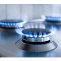 Tarifs du gaz •
À la baisse en février