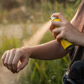 Tiques, moustiques •
Bientôt de nouveaux répulsifs
