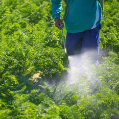 Trafic de pesticides Les auteurs condamnés à de lourdes amendes