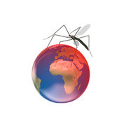 Virus Zika L’annulation et le remboursement des voyages