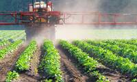 Trafic de pesticides interdits en France Une condamnation exemplaire !