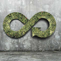 Avant-Projet de loi économie circulaire Vivement l'après !